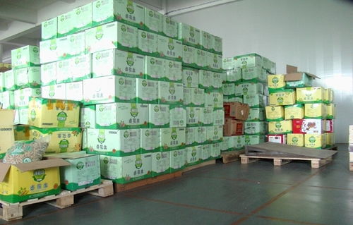 广州食品仓库托管服务 龙森仓储的专业解决方案